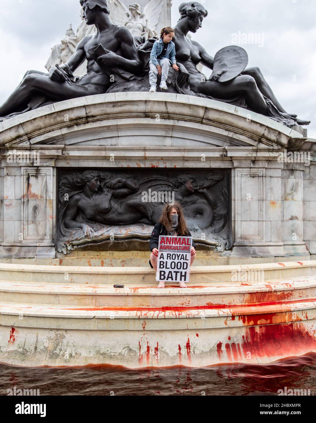 Animal Rebellion protestor sitting in royal fountain, holding a sign saying Animal Agriculture A Royal Bloodbath - London 2021 Stock Photo