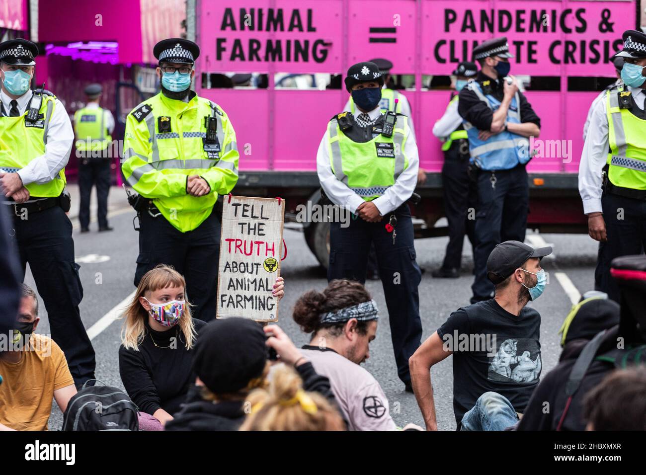 Animal rebellion activists sitting in road in front of  pink truck with police and placard Tell the Truth about Animal Farming London 2020 Stock Photo