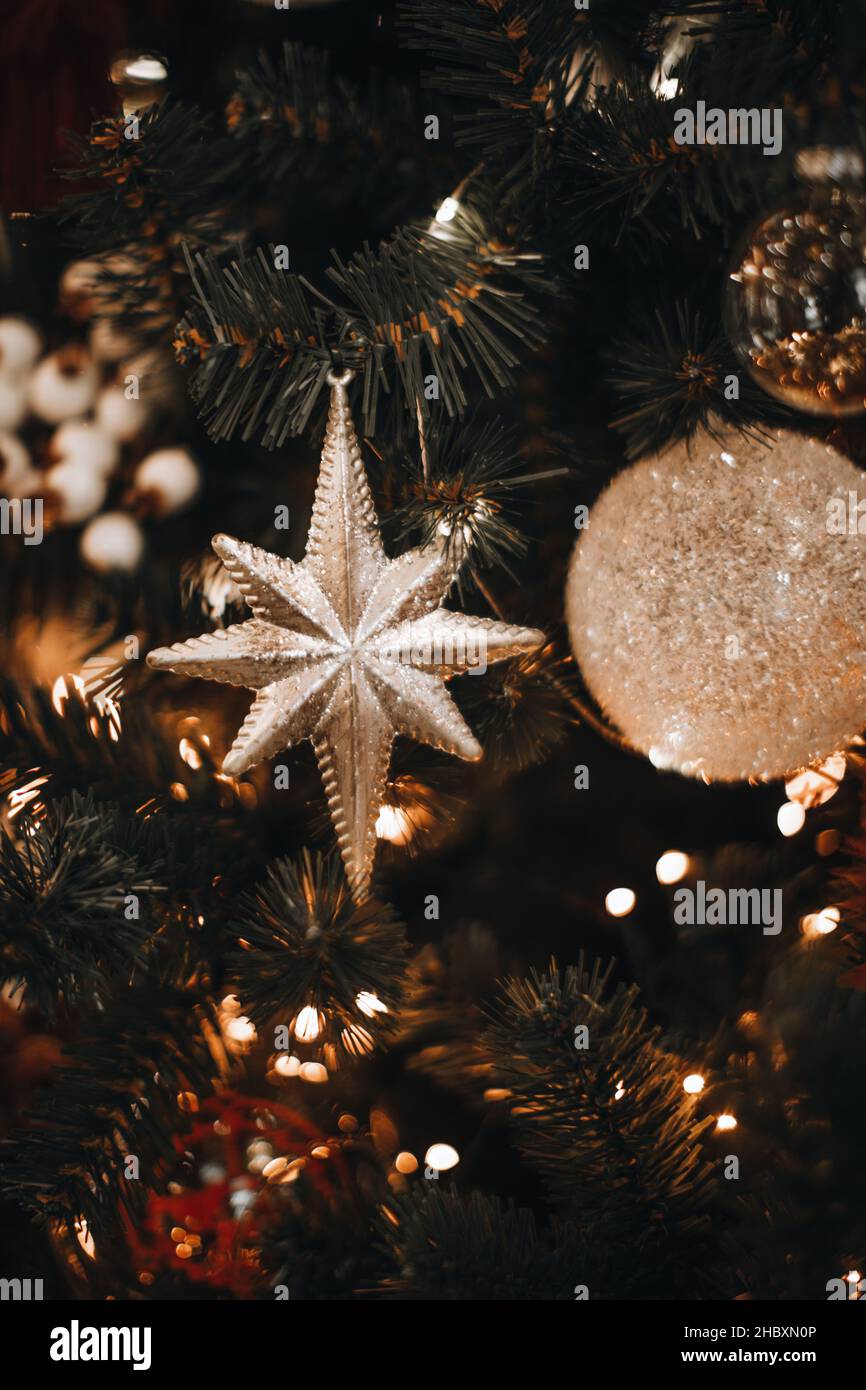 Christmas tree green branches decorated with silver glittering star ...