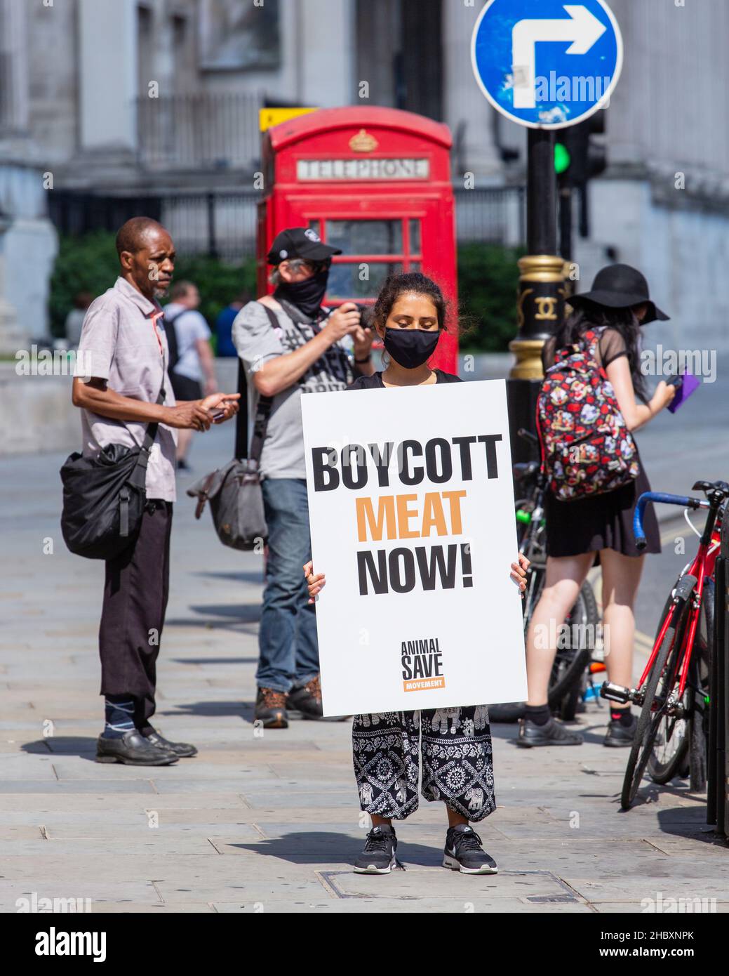 Activist holding sign that says Boycott Meat Now, London 2020 Stock Photo