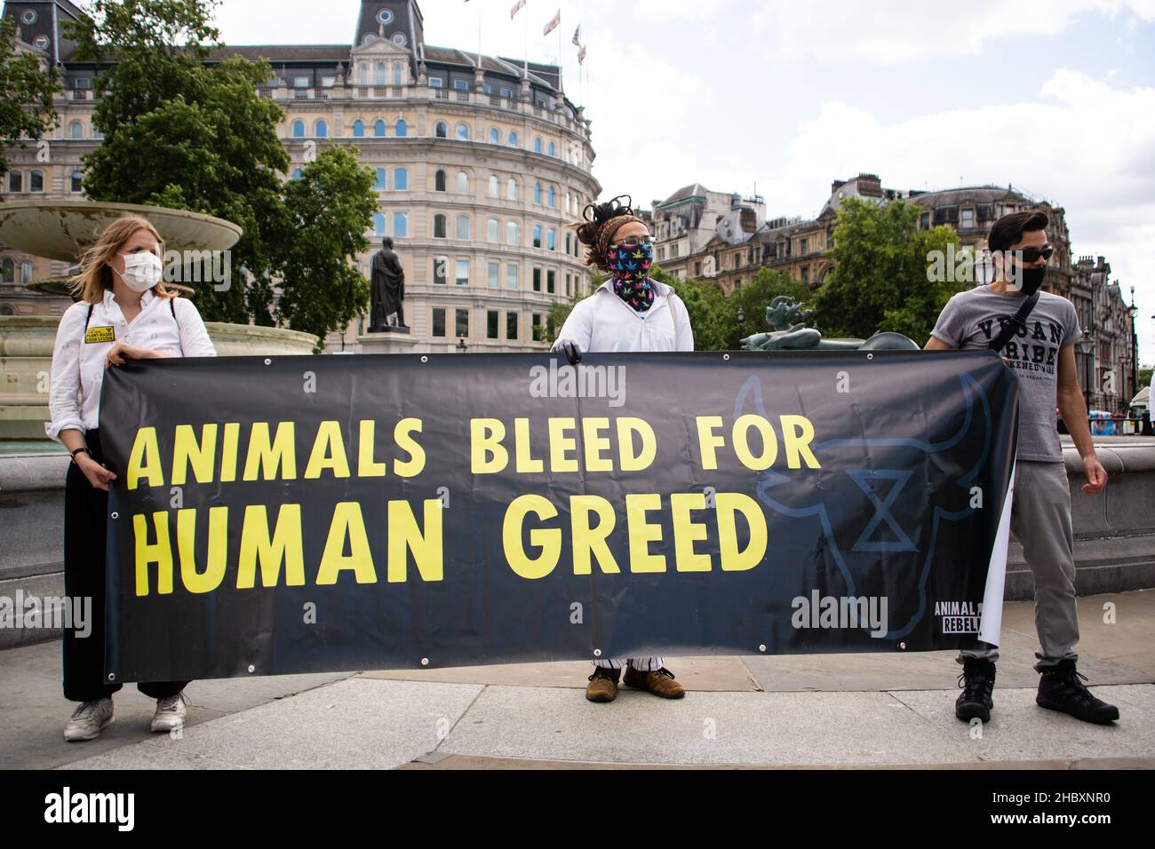Animal Rebellion in Trafalgar Square holding large banner Animals Bleed for Human Greed London 2020 Stock Photo