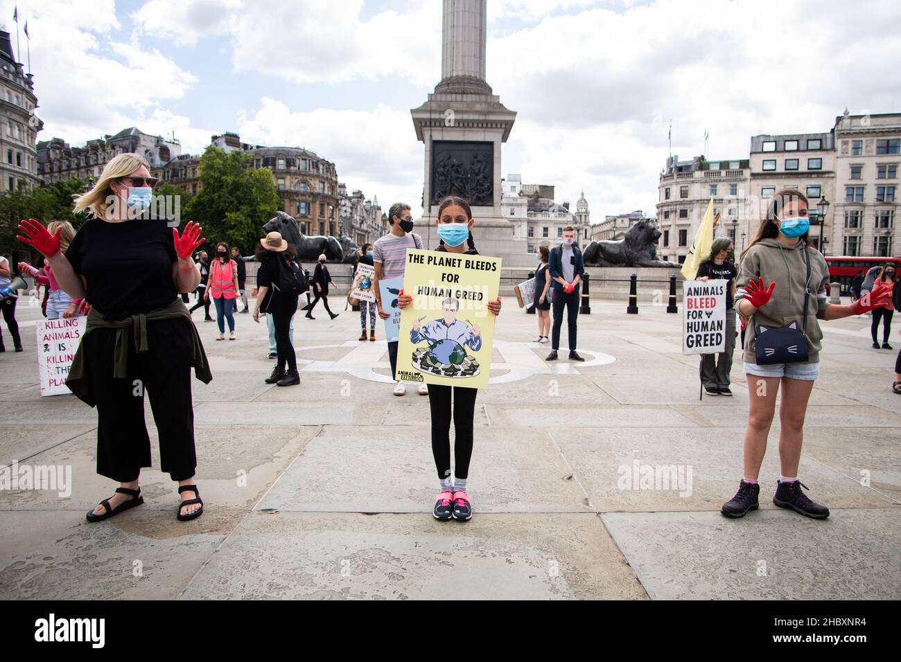 Animal rebellion child protestor and others standing in Trafalgar Square holding placard The Planet Bleeds for Human Greed London 2020 Stock Photo