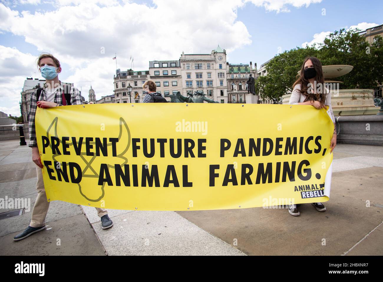 animal rebellion protestors holding prevent future pandemics end animal agriculture banner in Trafalgar Square London 2020 Stock Photo