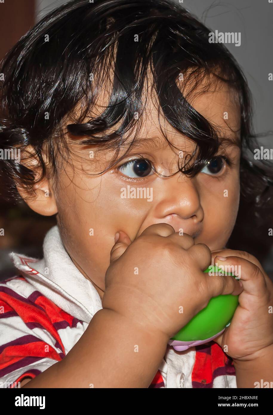 An East Indian baby boy showing signs of teething by chewing on a teething toy or a teether. Stock Photo