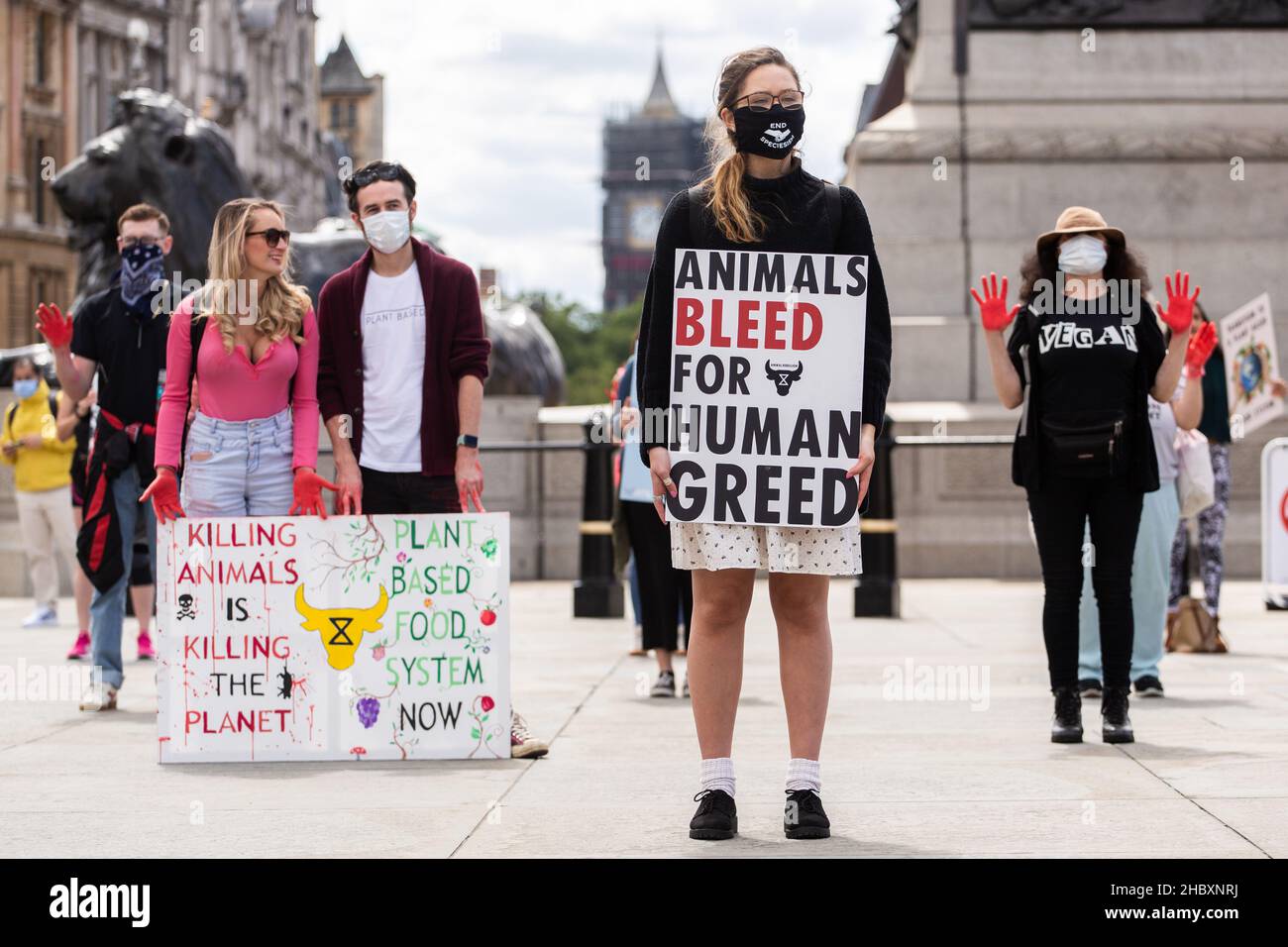 animal rebellion protestors standing in Trafalgar Square holding placard Animals Bleed For Human Greed London 2020 Stock Photo