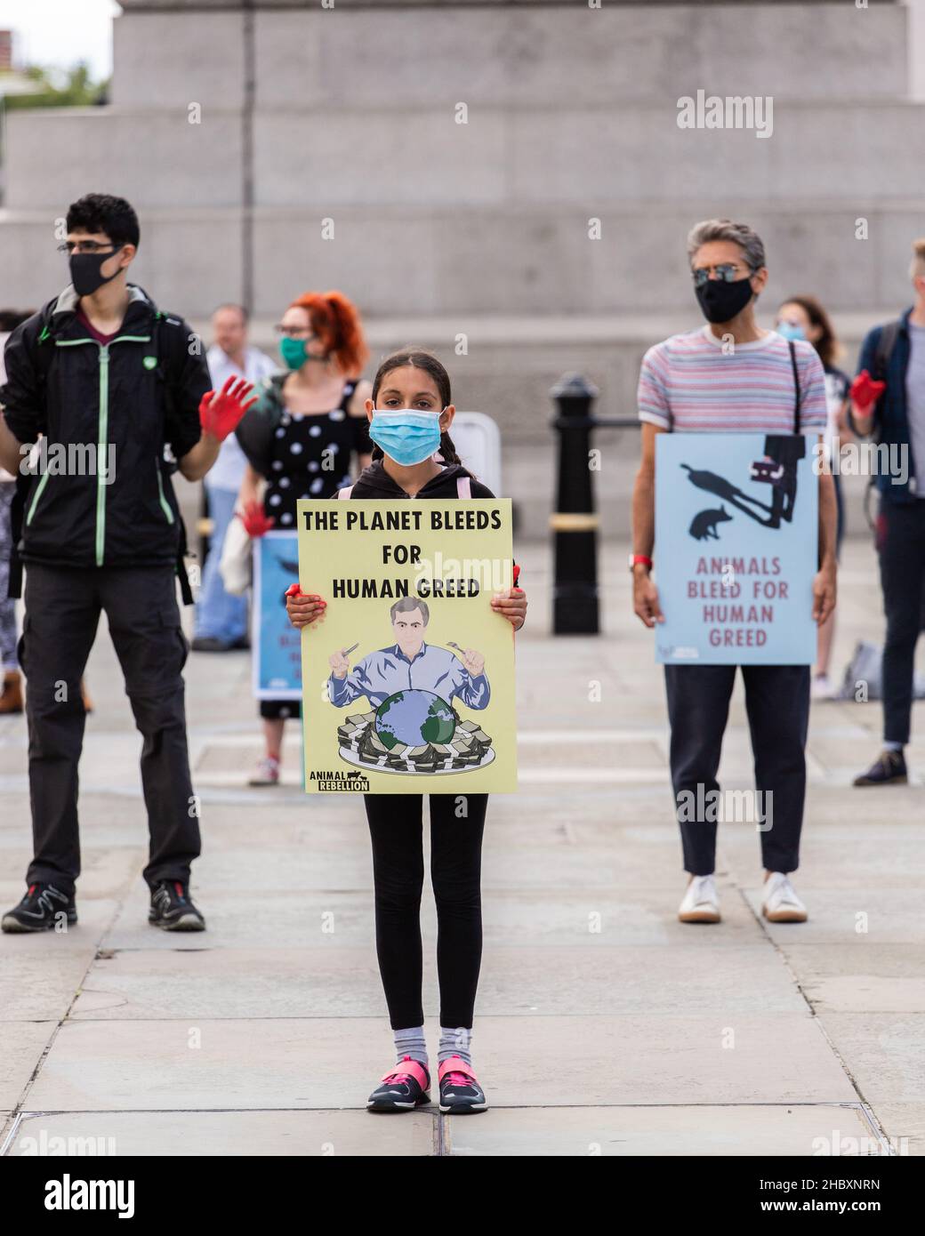 animal rebellion child protestor standing in trafalgar square holding placard The planet bleeds for human greed London 2020 Stock Photo