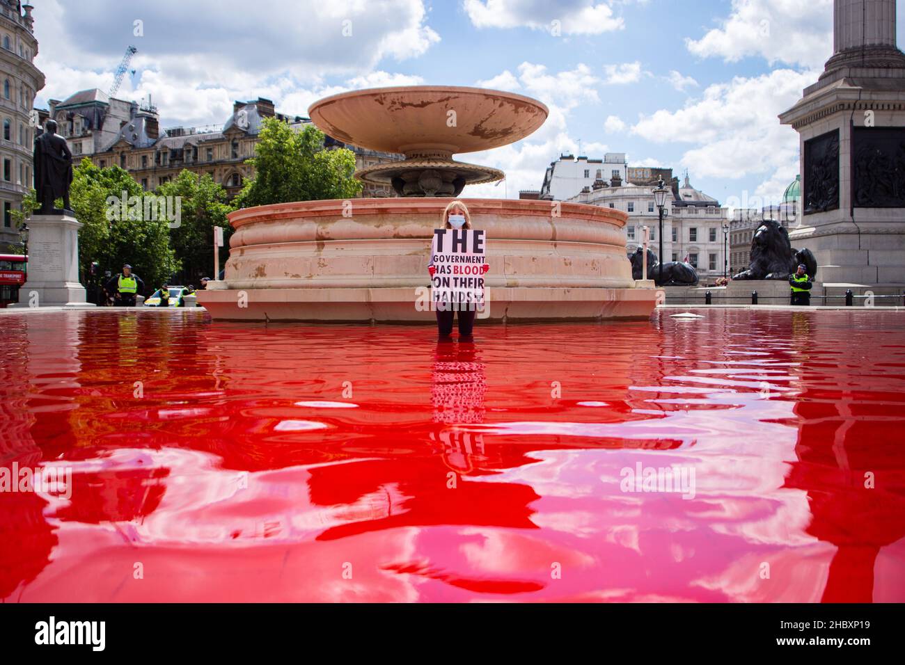 Wide view of Trafalgar Square fountain dyed red with animal rebellion protestor holding sign Stock Photo