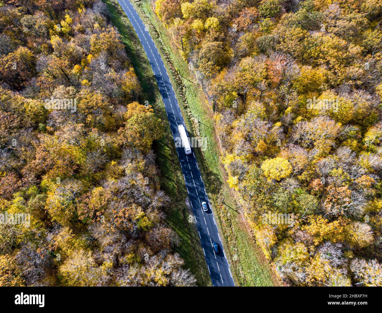 Forest road with white truck during Autumn. Aerial view road crossing a yellow and gold deciduous trees forest, Autumn Stock Photo