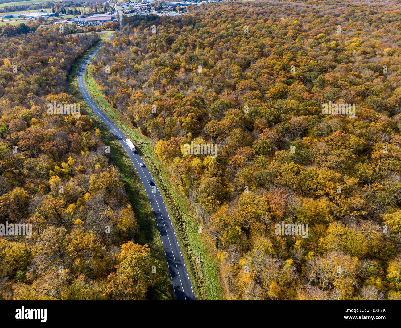 Forest road with white truck during Autumn. Aerial view road crossing a yellow and gold deciduous trees forest, Autumn Stock Photo