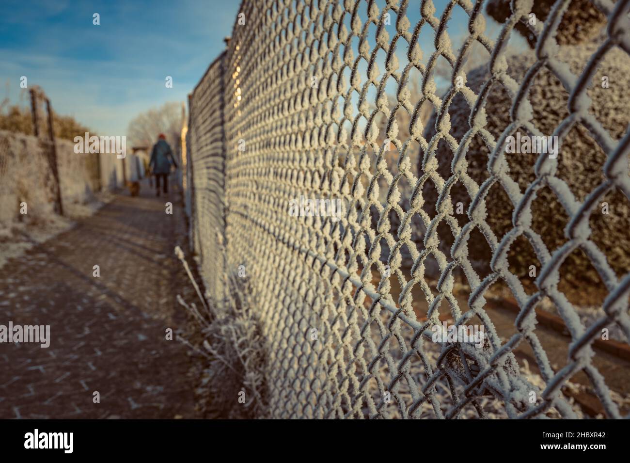 A wire mesh fence covered with the first frost Stock Photo - Alamy