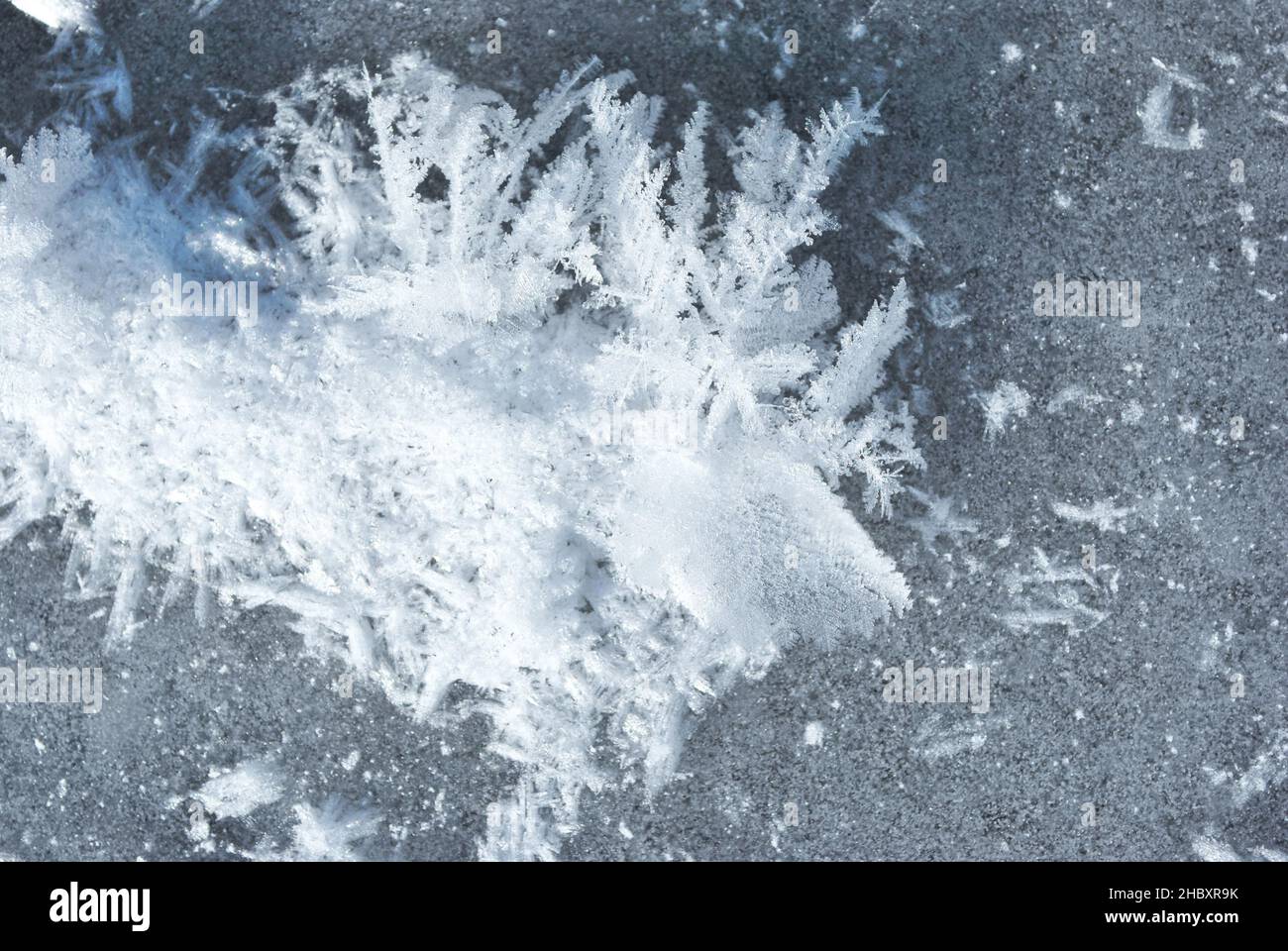 Ice surface with large fluffy snowflakes, natural organic background, top view Stock Photo