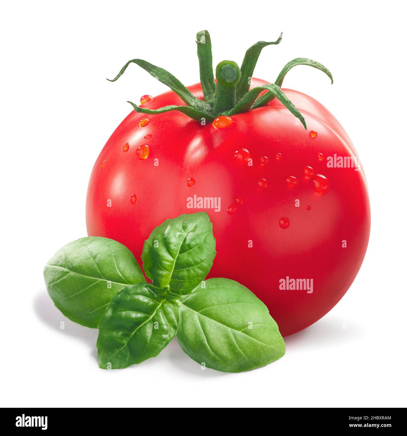 Fresh Tomato with basil leaves isolated Stock Photo