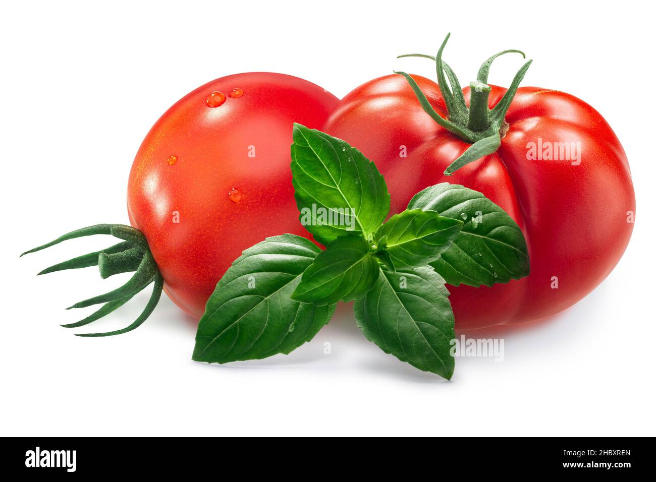 Fresh Tomatoes with basil leaves isolated Stock Photo