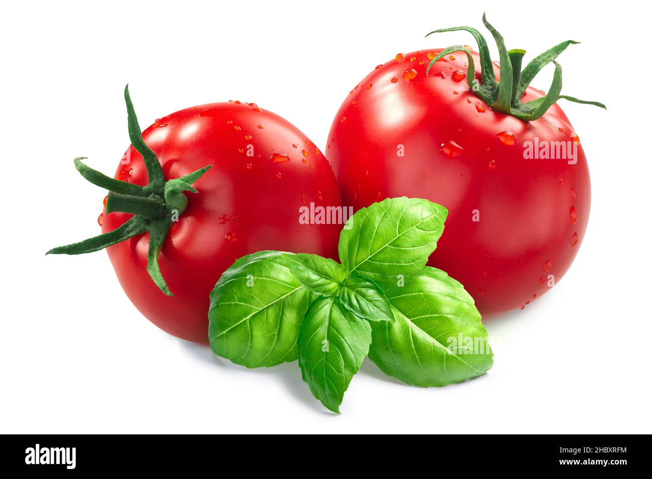 Fresh Tomatoes with basil leaves isolated Stock Photo