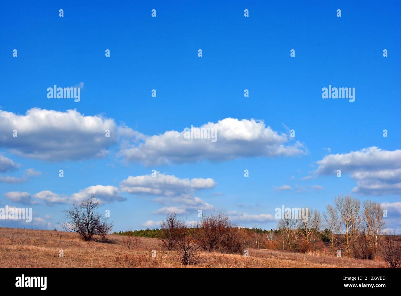 Hill with bushes, spring landscape, blue cloudy sky background Stock Photo