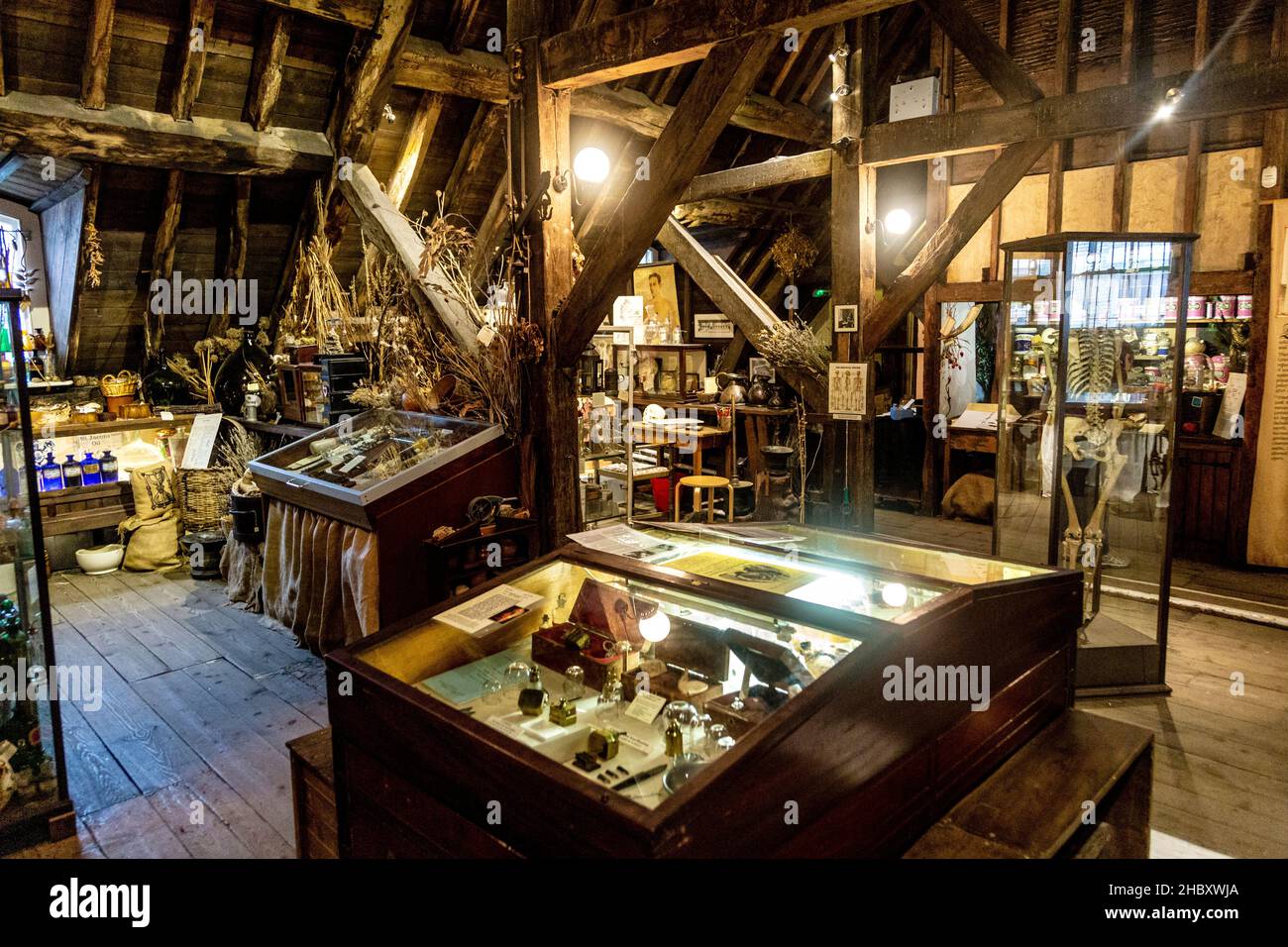 Traditional victorian apothecary's counter, cabinet of curiosities (Old Operating Theatre Museum and Herb Garret, London, UK Stock Photo