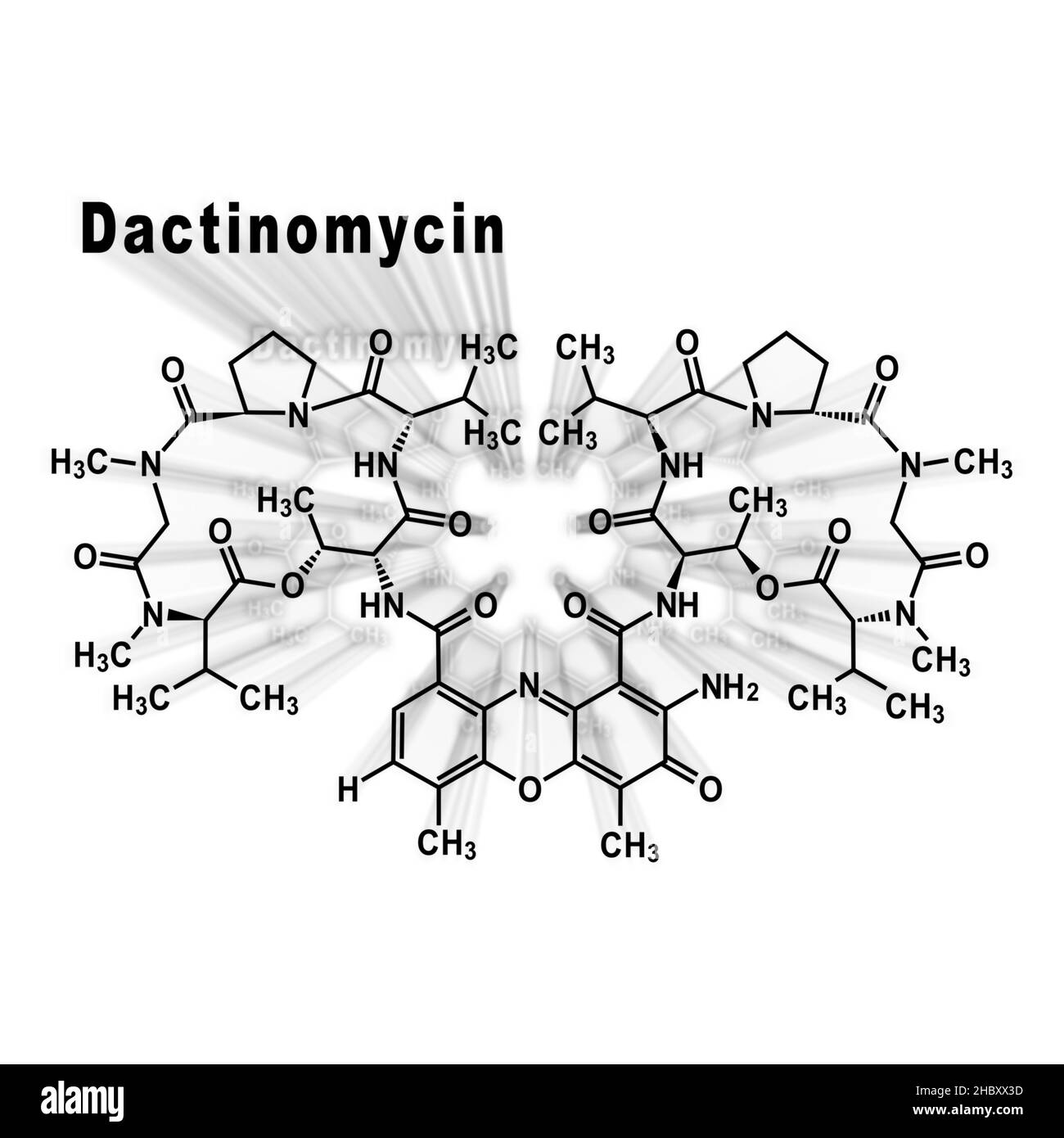 Dactinomycin cancer chemotherapy drug, Structural chemical formula on a white background Stock Photo