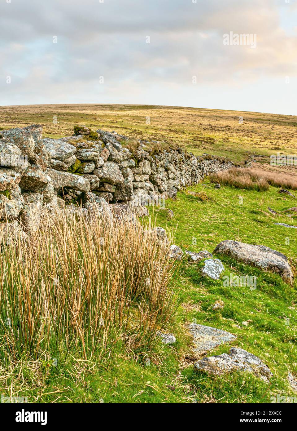 Dry stone wall at the Dartmoor National Park, Devon, England, UK Stock Photo
