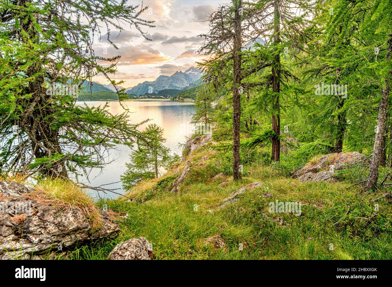 Summer landscape at the Silsersee, Engadin, Grisons, Switzerland Stock Photo
