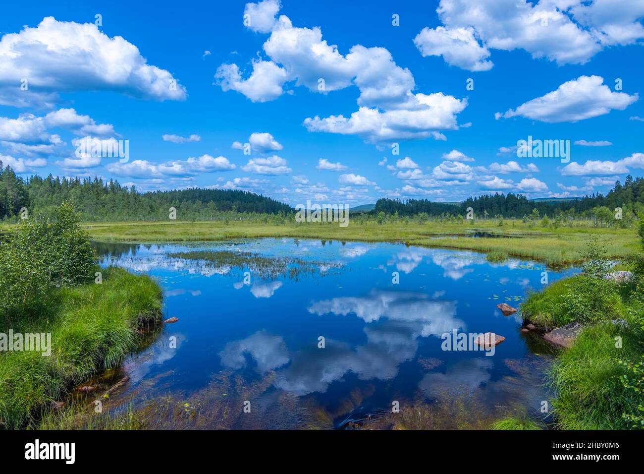 Beautiful shot tree cloudy sky hi-res stock photography and images - Alamy