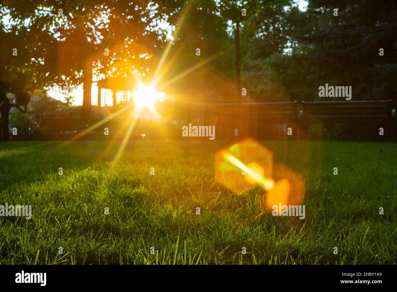 Defocused park with benches and trees, at sunset. heavy lens flare from a vintage lens Stock Photo