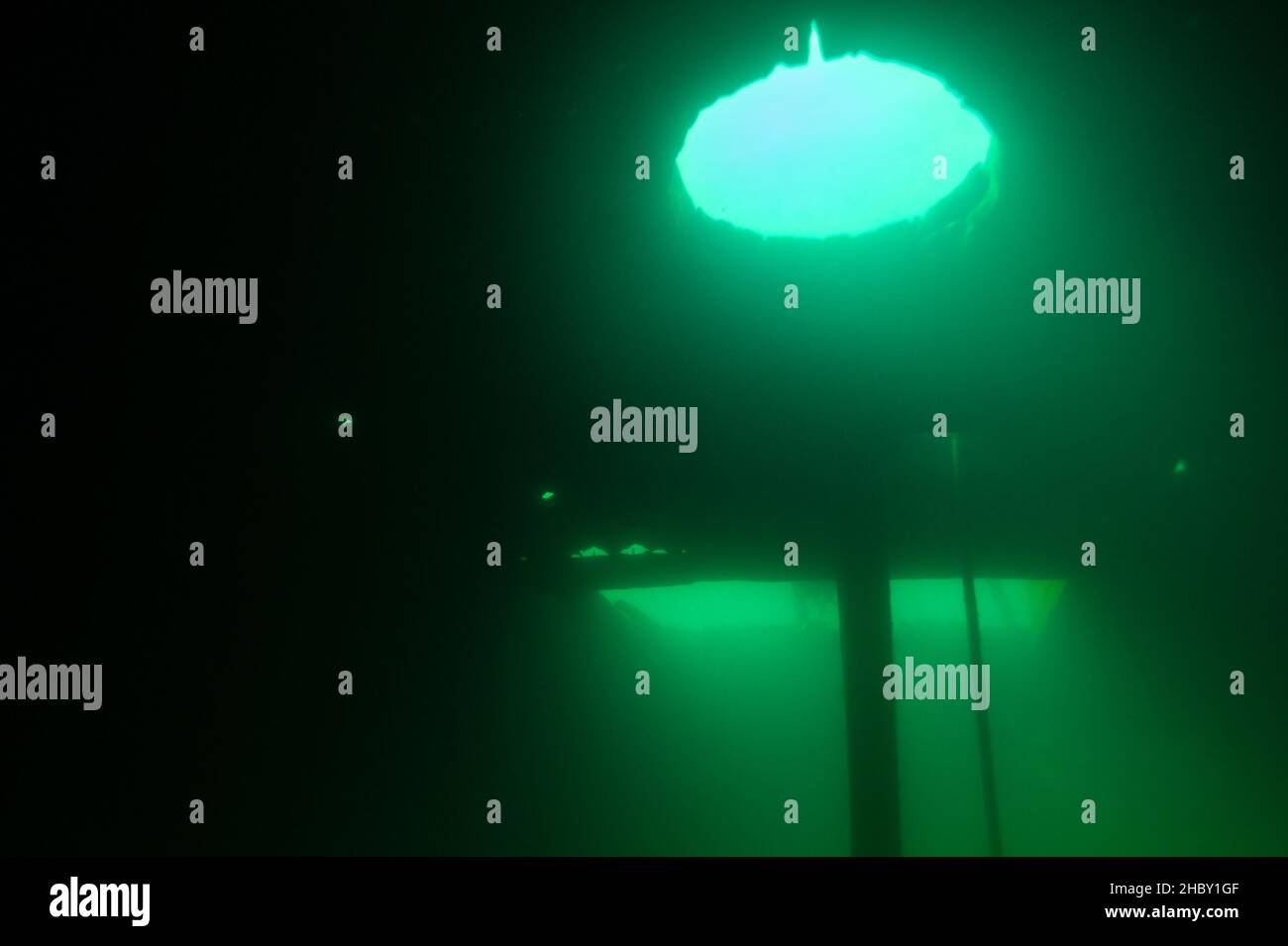 The cargo hold of the Bermuda shipwreck in the Alger Underwater