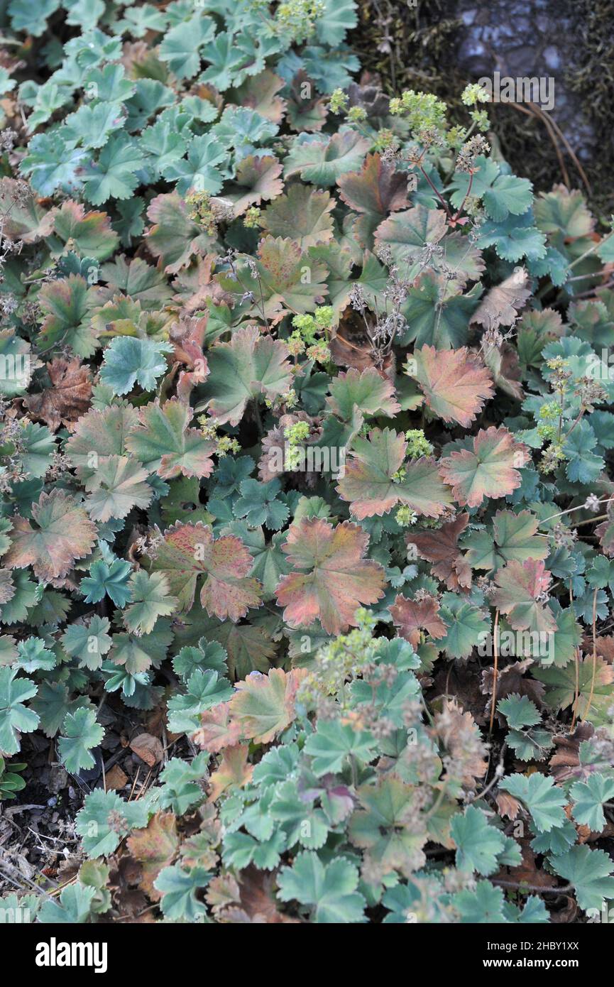 Mantle soil hi-res stock photography and images - Alamy