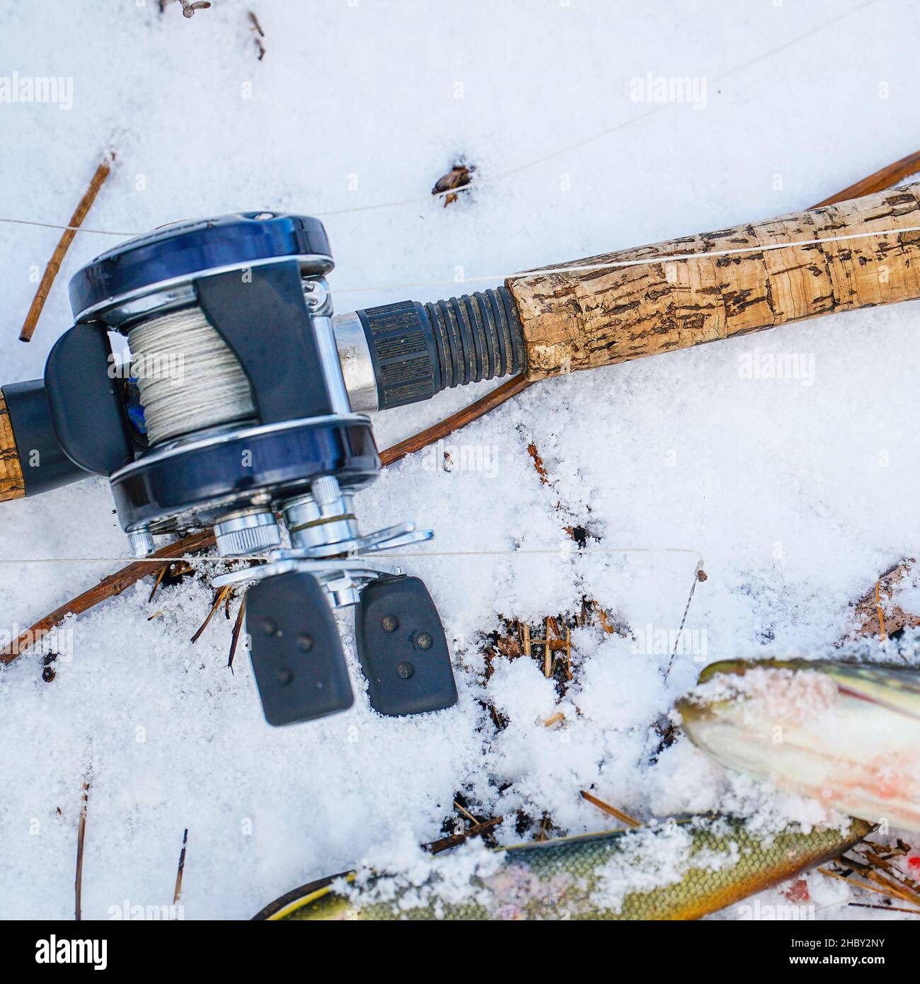 Spinning rod with baitcasting reel, bait and caught a pike lying on the snow in the winter Stock Photo