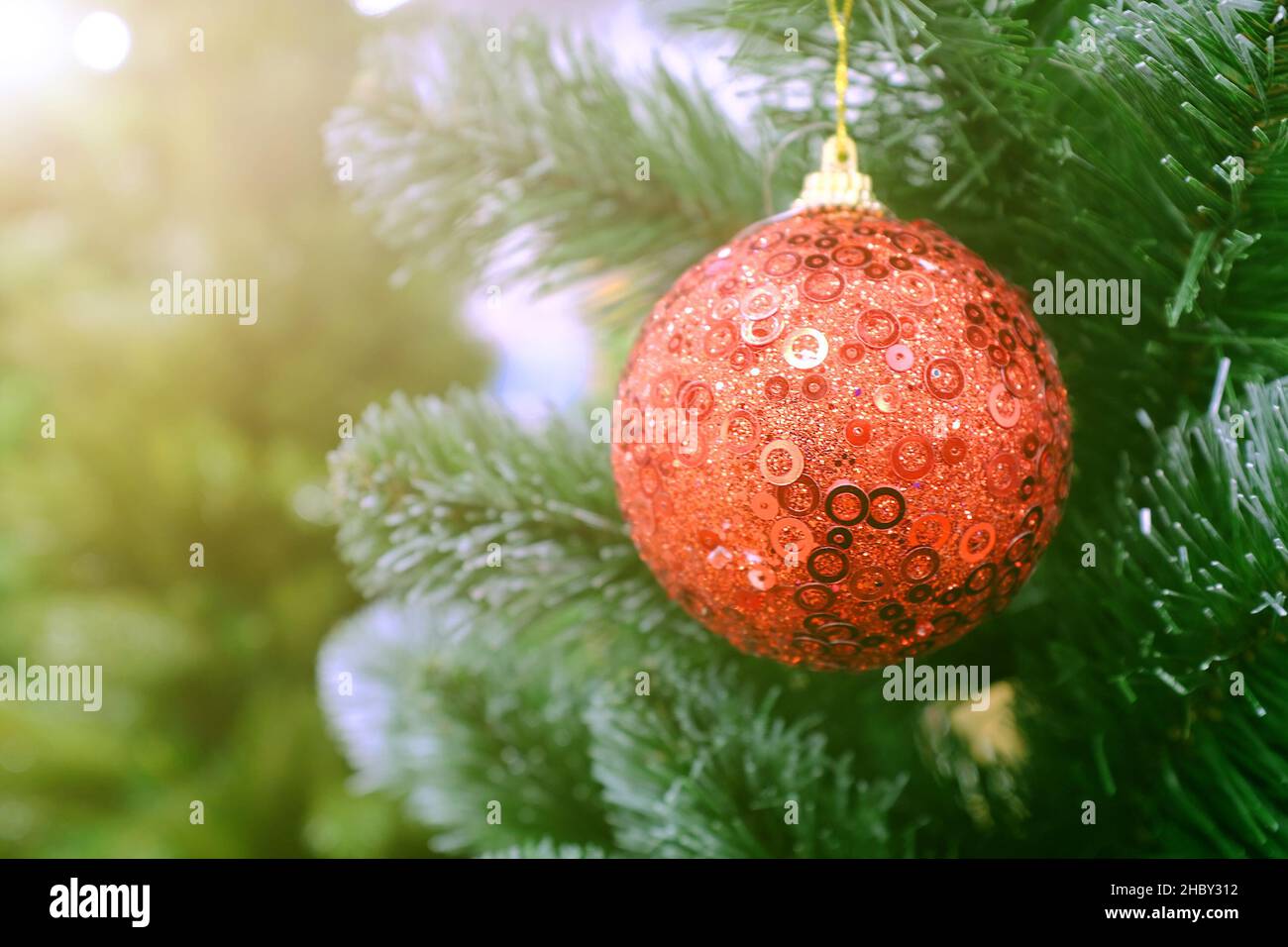 christmas tree decoration red ball hanging on a branch Stock Photo - Alamy