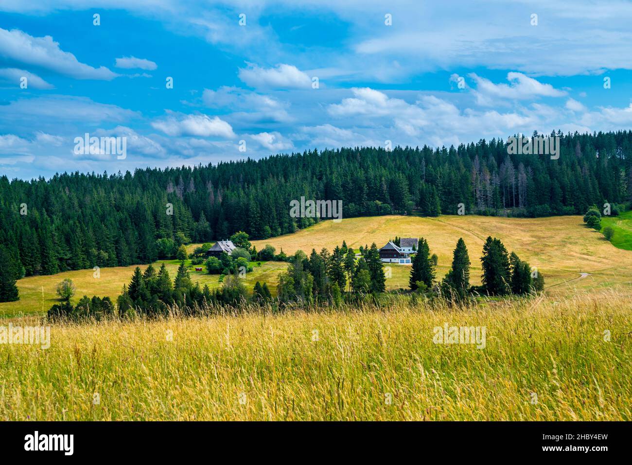 Germany, Black forest nature panorama and original houses at the edge