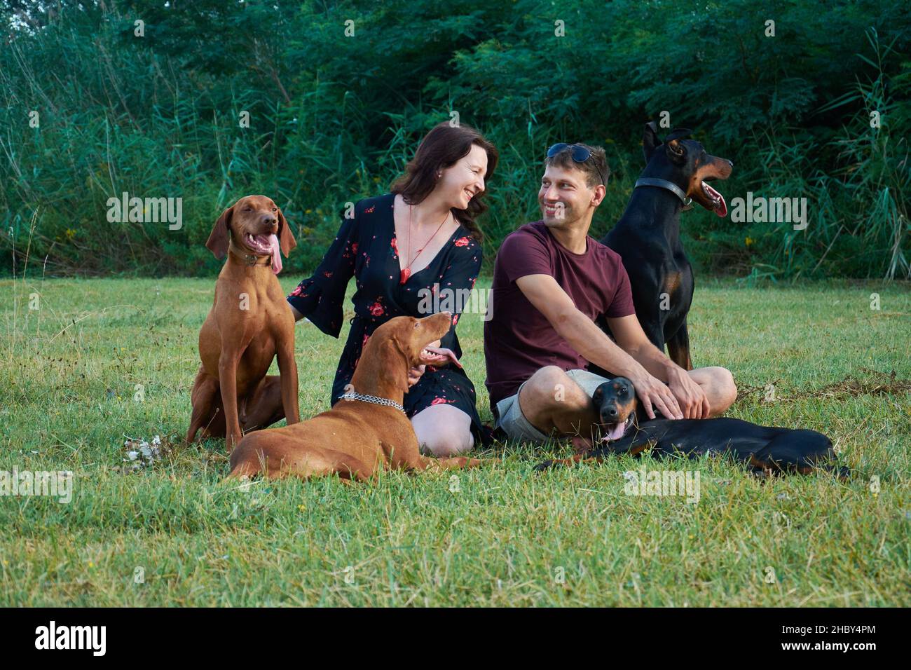A Serbian Caucasian couple with their four dogs sitting in a field during daylight Stock Photo
