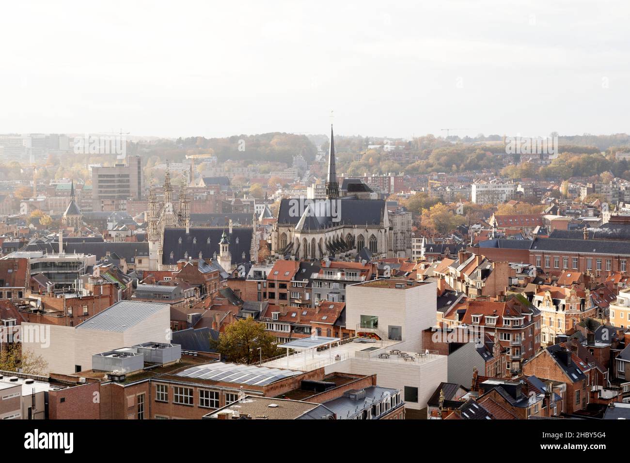 Buildings and rooftops in Leuven, Belgium. The spire of St Peter's Church rises above the city centre. Stock Photo