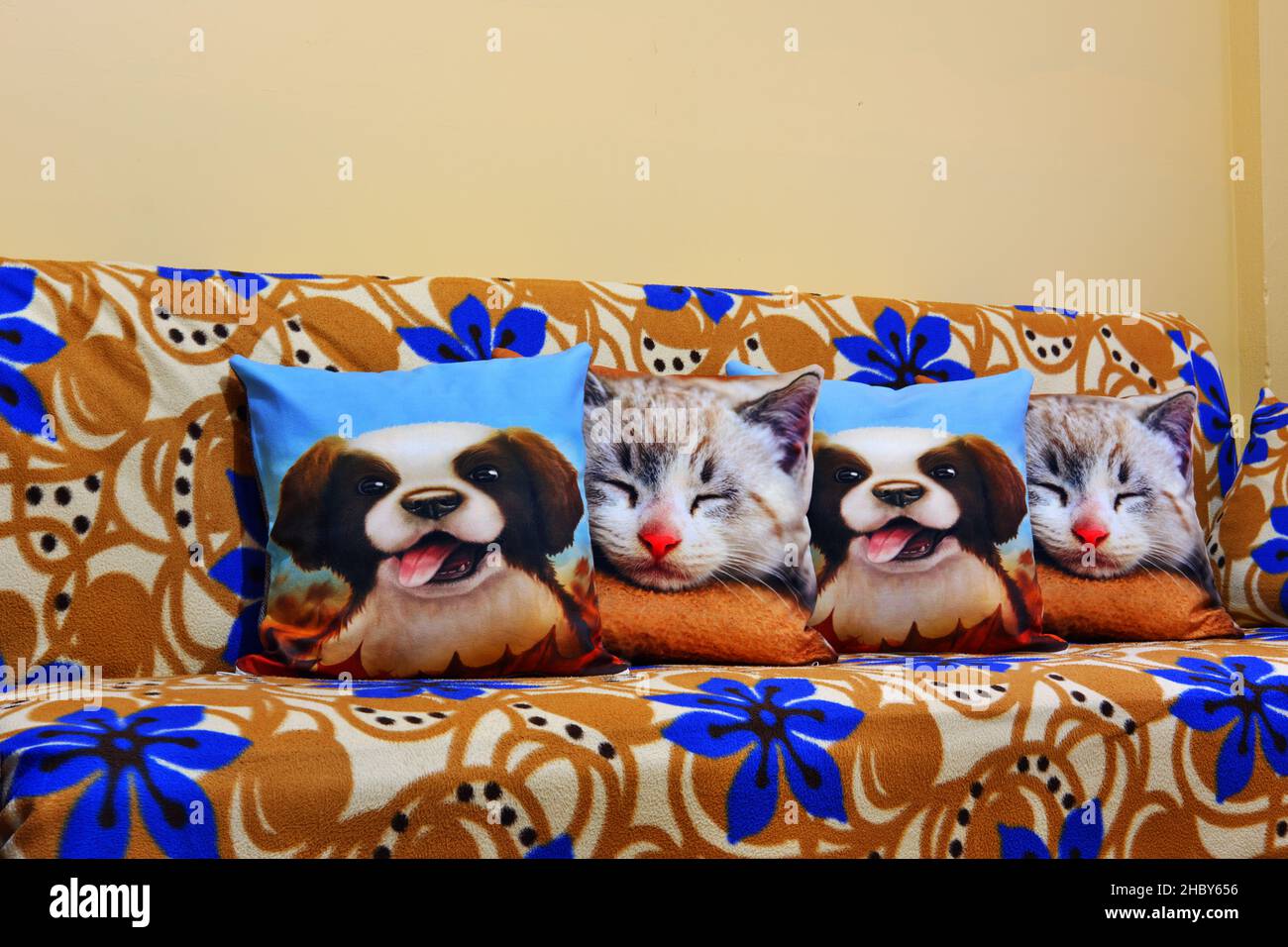Cushions with dog and cat drawings on tidied up couch in living room