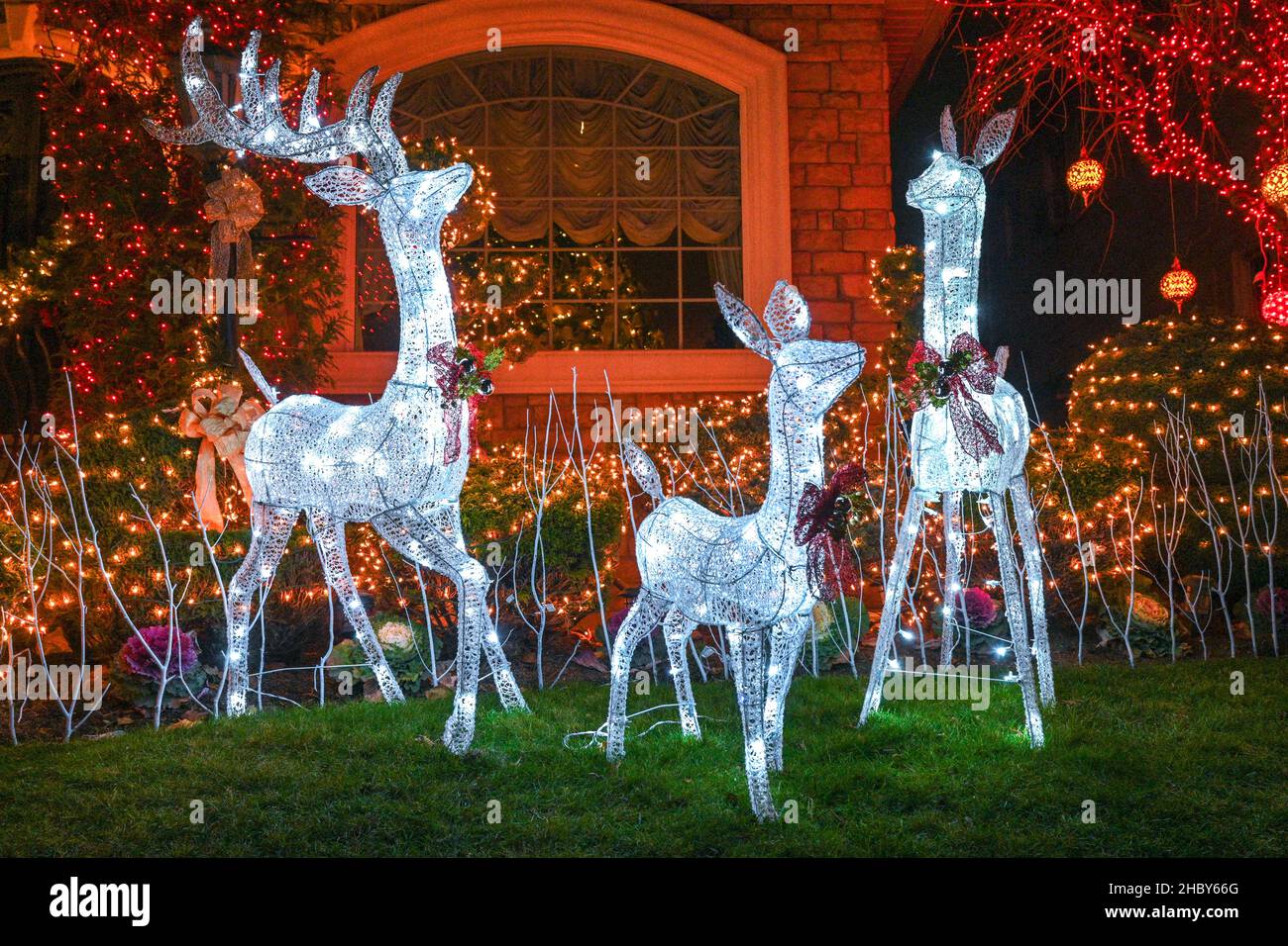 People visit the Dyker Heights Christmas Lights on December 21, 2021 in the Brooklyn Borough of