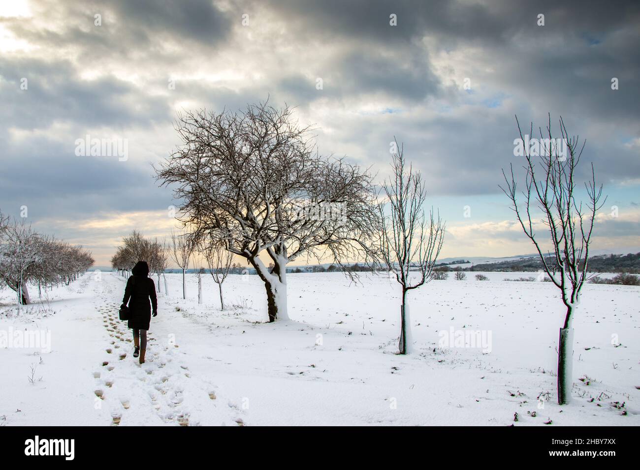 Woman coat walking snow rear view hi-res stock photography and images ...