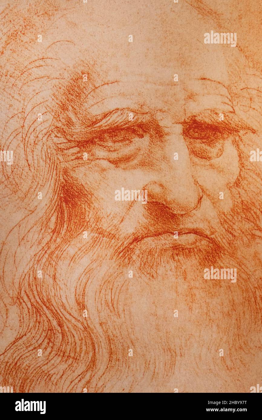 Leonardo da Vinci, Portrait of a man in red chalk Stock Photo - Alamy
