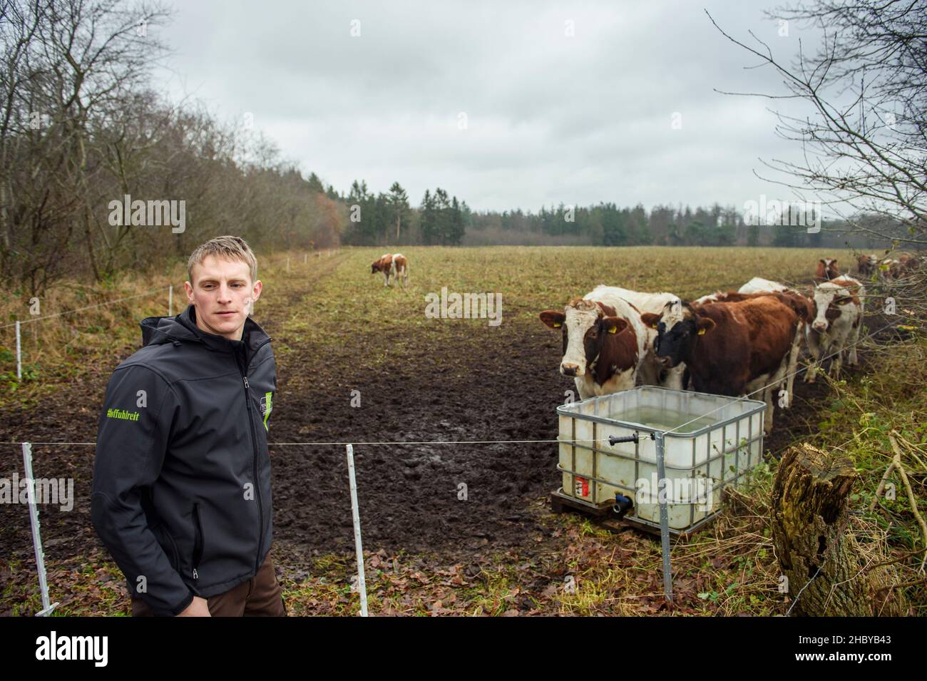Kropp, Germany. 15th Dec, 2021. Hauke Sierck, farmer, stands next to a herd of cattle on the family-owned farm Hof Fuhlreit. Credit: Gregor Fischer/dpa/Alamy Live News Stock Photo