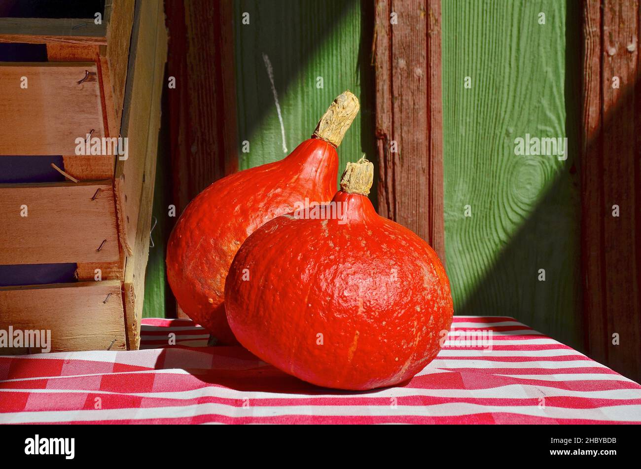 Hokaido pumpkin in front of wooden wall on red and white tablecloth Stock Photo