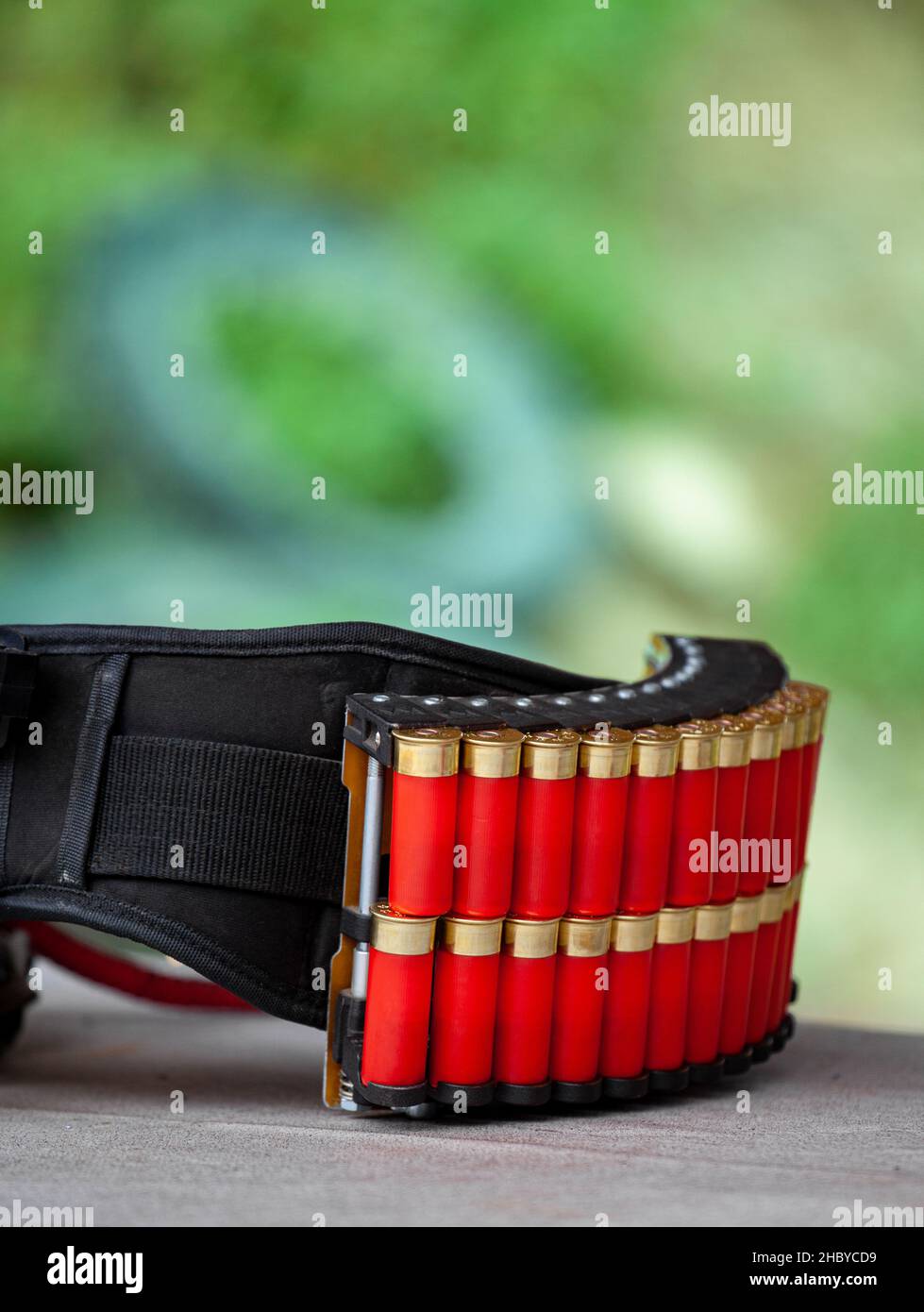 Sports cartridge belt. Red cartridges for a shotgun in a cartridge case. Green blurred