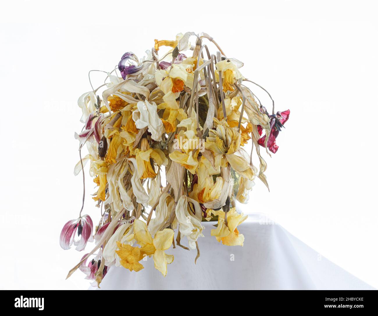 dead flowers Stock Photo Alamy