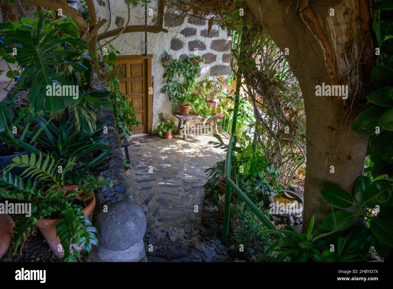 Entrance area of the restaurant El Guanche (old school), mountain village Masca In the Teno Mountains, Masca, Masca, Tenerife, Spain Stock Photo