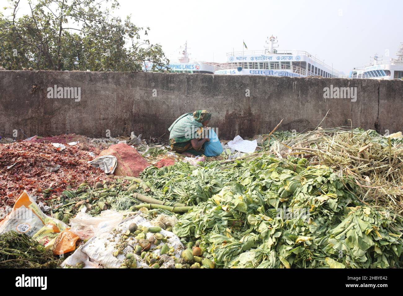 Dhaka, Bangladesh. 22nd Dec, 2021. A distressed woman picks vegetables from rotting leftovers in Dhaka, Bangladesh. (Credit Image: © Md. Rakibul Hasan/ZUMA Press Wire) Stock Photo