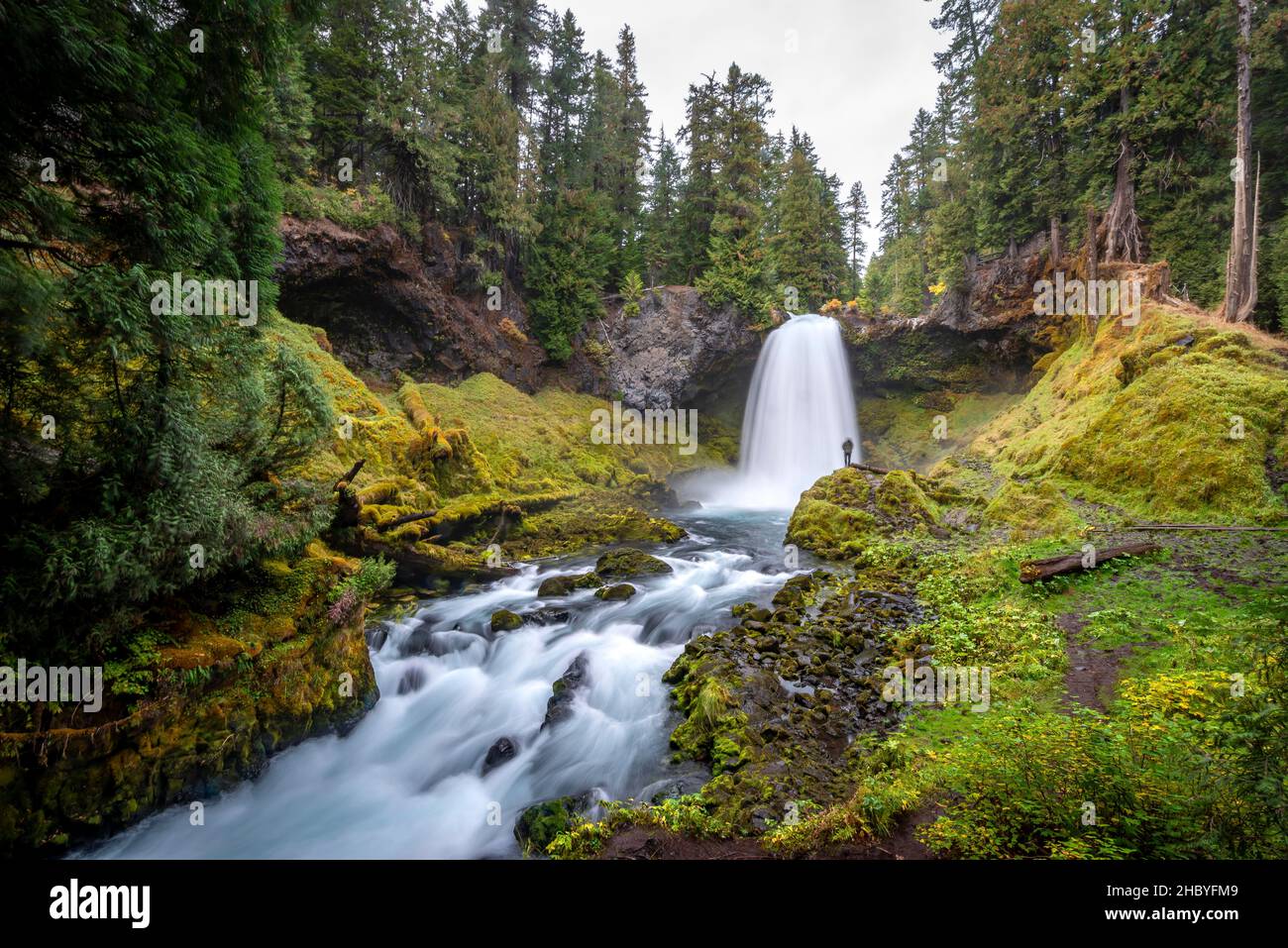 Young man in front of waterfall, long exposure, Sahalie Falls, forest with moss, Oregon, USA Stock Photo