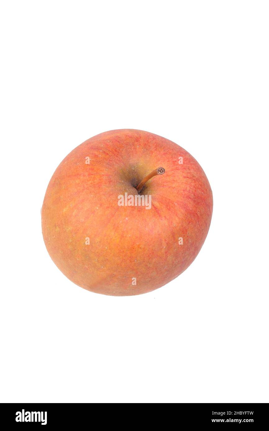 https://c8.alamy.com/comp/2HBYFTW/apple-variety-adams-parmaene-2HBYFTW.jpg