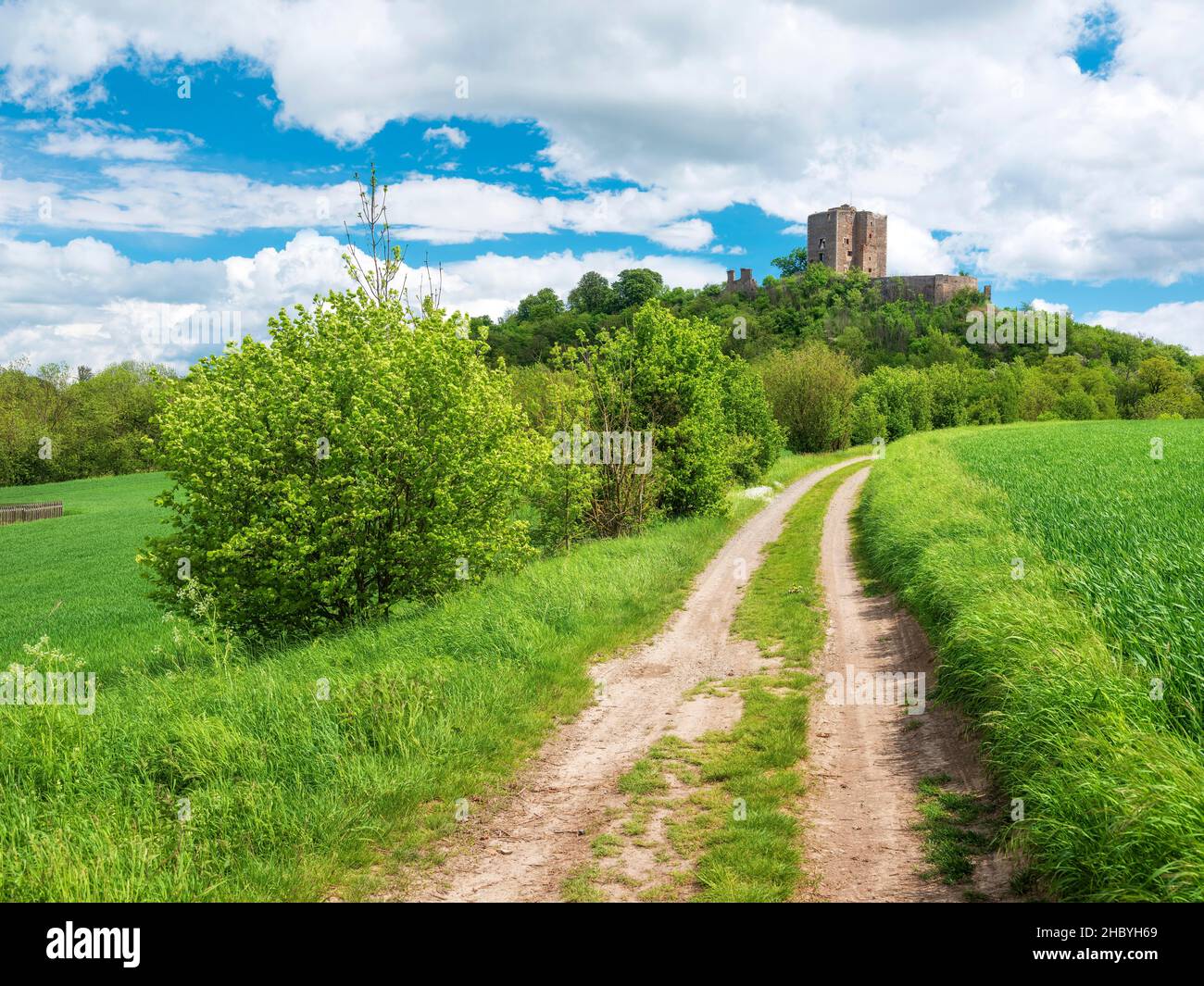 Landscape with field path in spring, in the back the ruins of Arnstein  Castle, Sylda-Harkerode, Mansfeld-Suedharz, Saxony-Anhalt, Germany Stock  Photo - Alamy