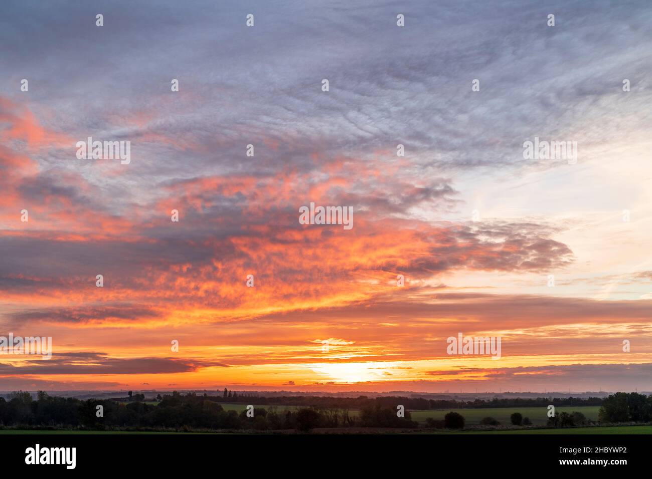Dawn landscape of fields and rows of trees in Kent, England. Orange sky on the horizon with layers of cloud underlit by the hidden rising sun. Stock Photo