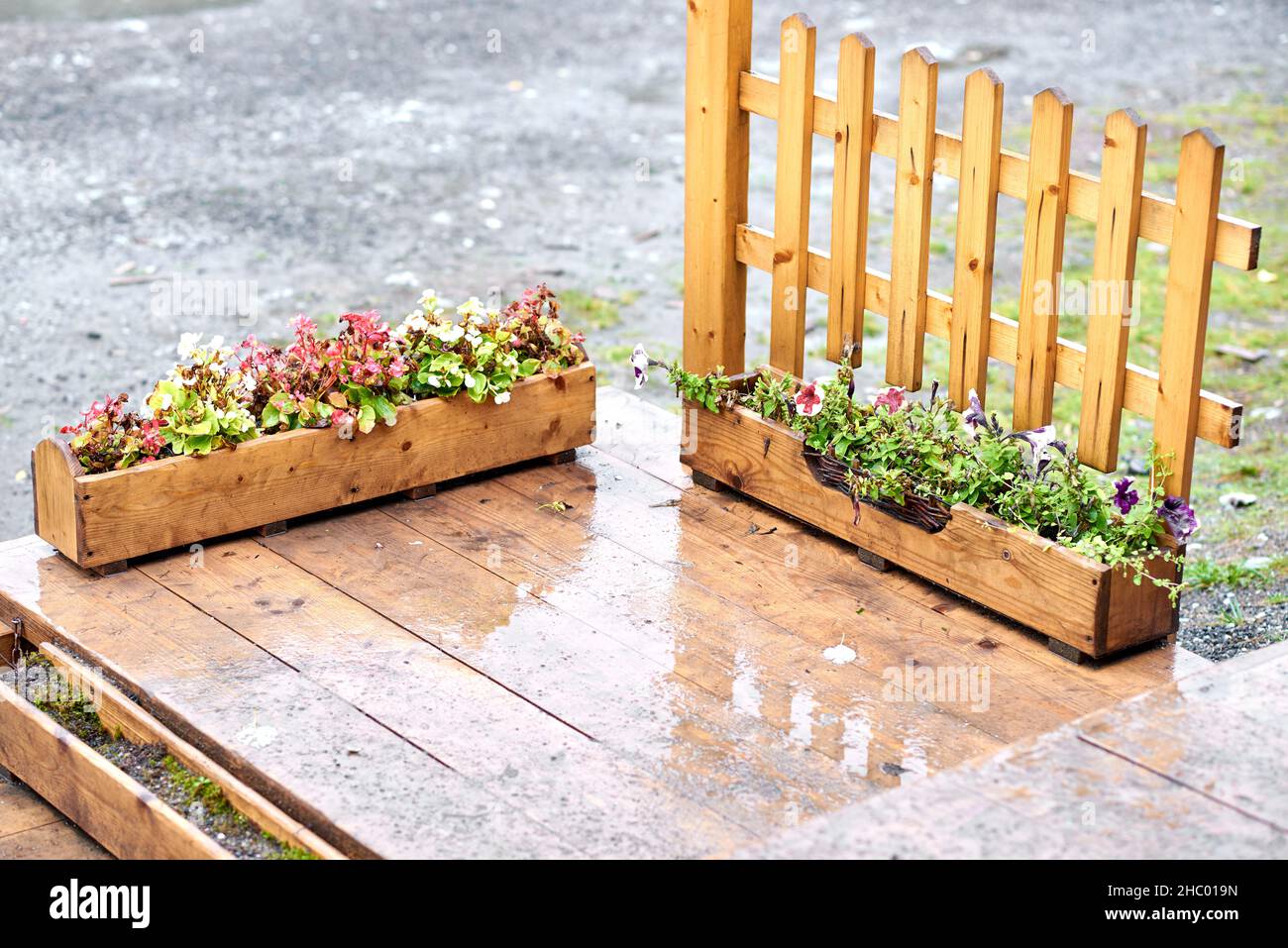 Two flower boxes perpendicular to each other on a rain-drenched boardwalk, next to a wooden fence. Stock Photo