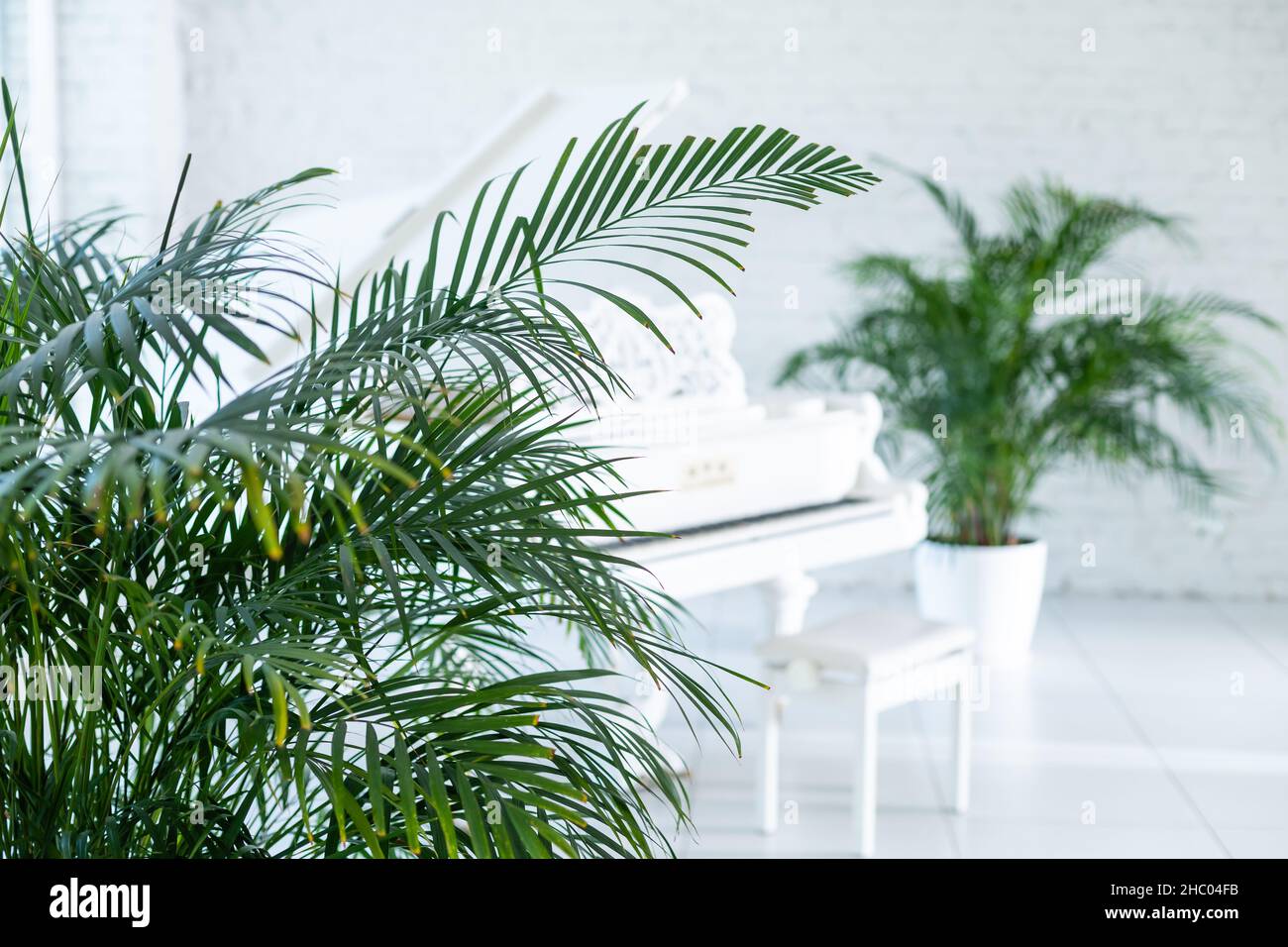 white grand piano in interior of room Stock Photo - Alamy