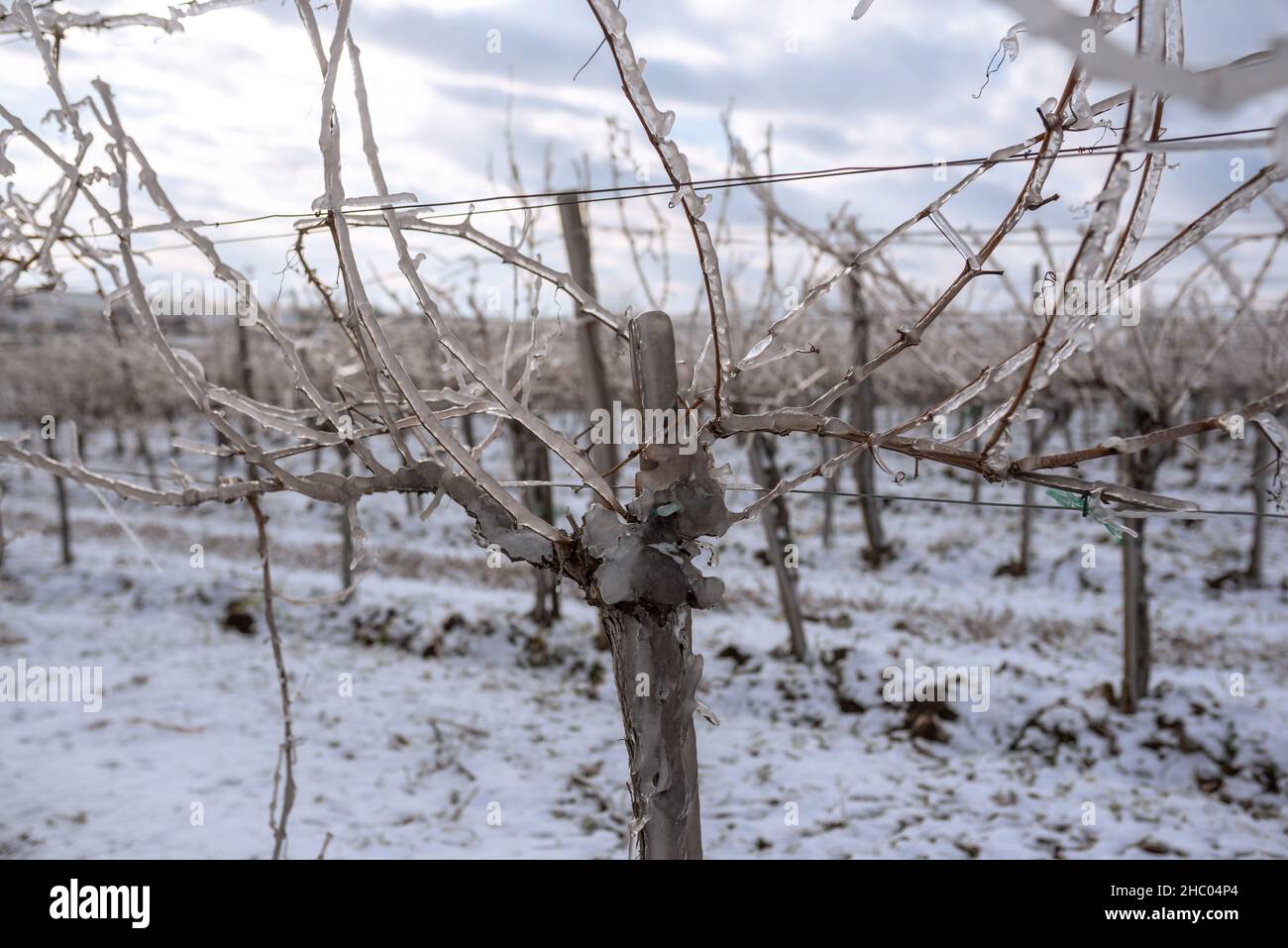 Thick ice on rain hi res stock photography and images Alamy Thick ice on rain hi res stock photography and images Alamy