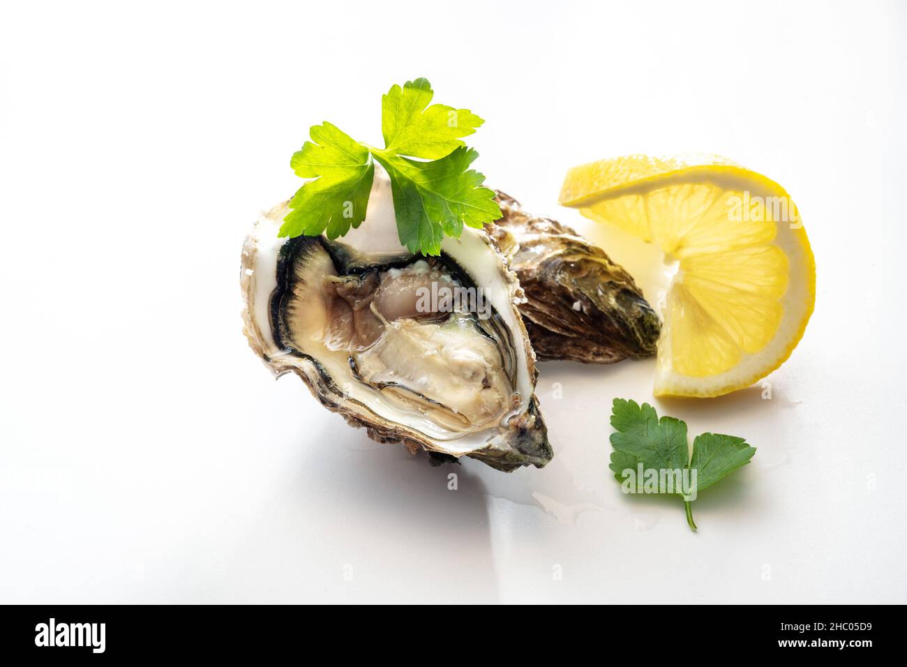 Freshly opened oyster with lemon slice and parsley garnish on a white background, copy space, selected focus, narrow depth of field Stock Photo